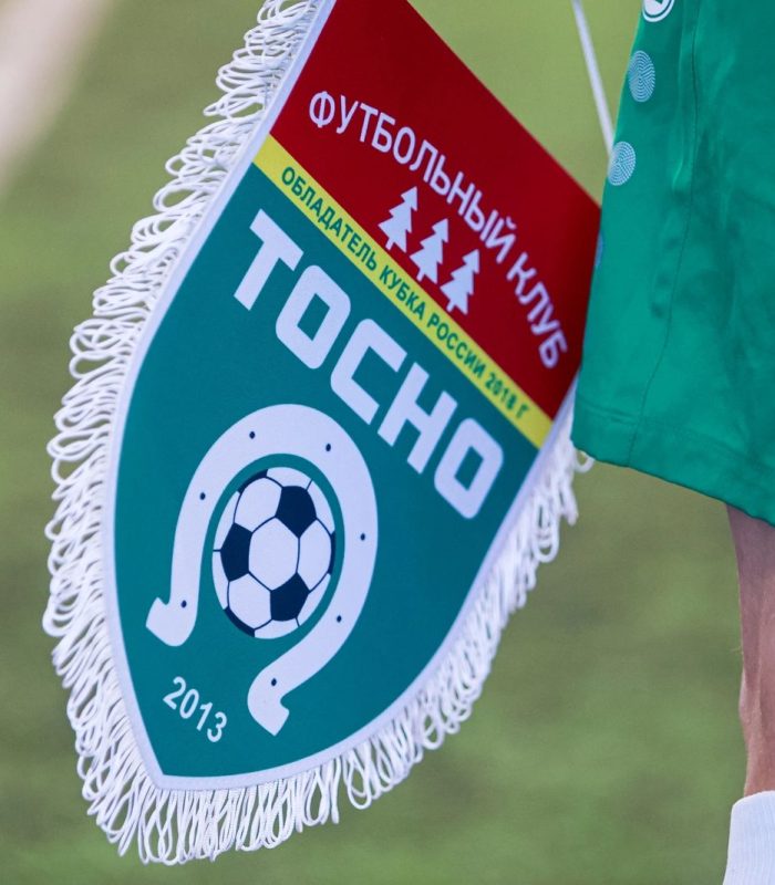 Борьба за бронзу турнира Полпреда